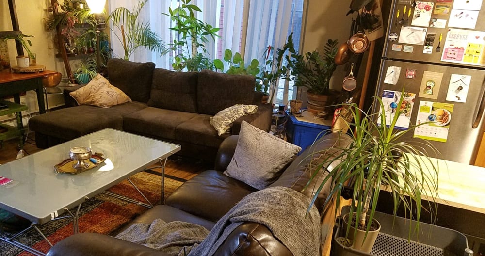 In Seattle wohnen Sie nur einen Block vom Lake Union entfernt - Foto 1
