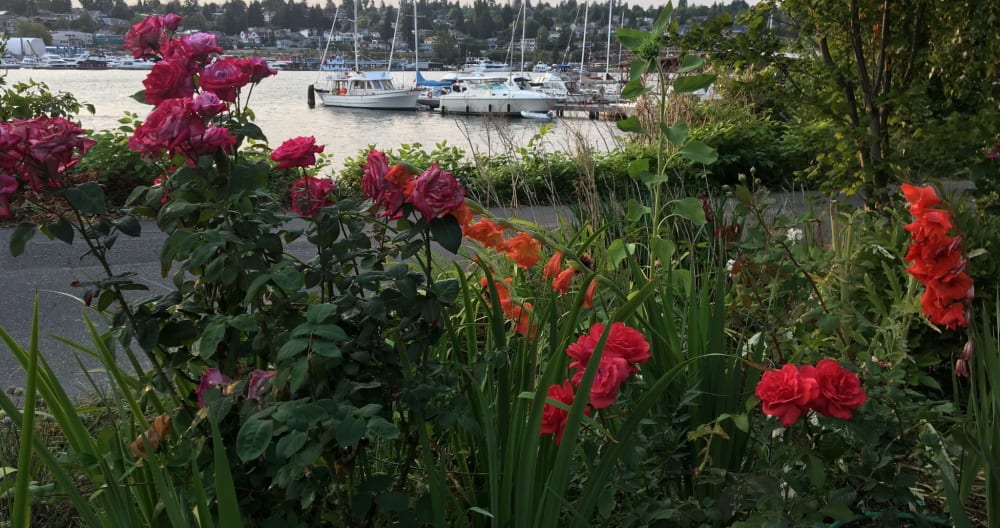 In Seattle wohnen Sie nur einen Block vom Lake Union entfernt - Foto 7