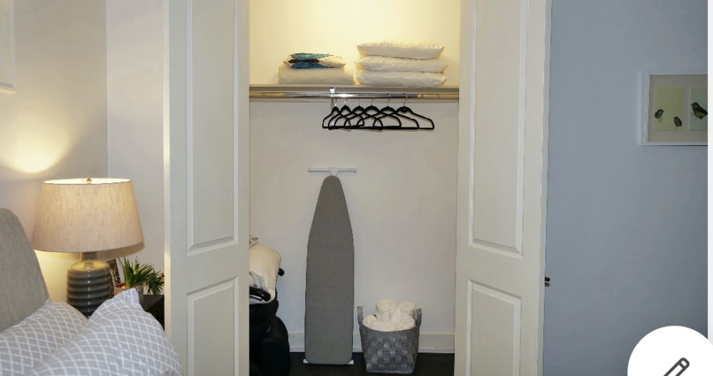 Clothing optional Chicago garden level in-law suite - Picture 5