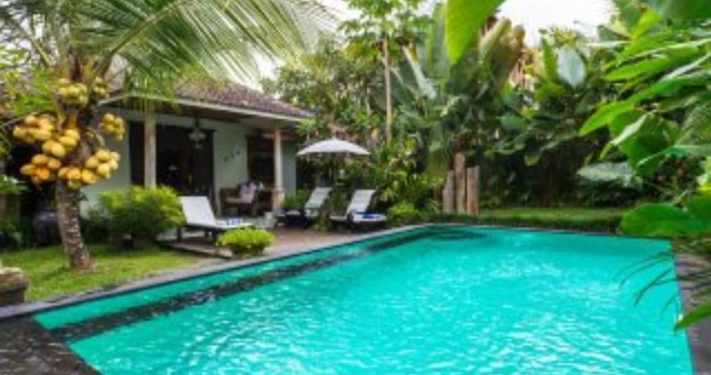 Paradise: Garden House in lush tropical walled garden with pool. - Foto 1