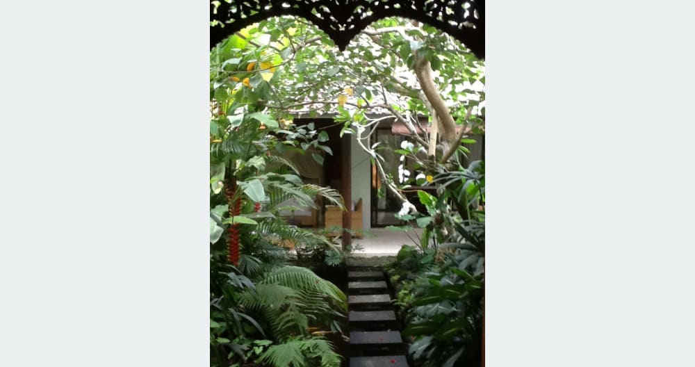 Paradise: Garden House in lush tropical walled garden with pool. - Foto 2