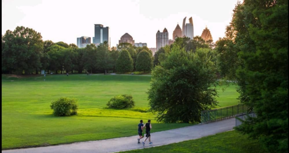 Piedmont Park Suite in Midtown, Atlanta, GA . - Picture 1