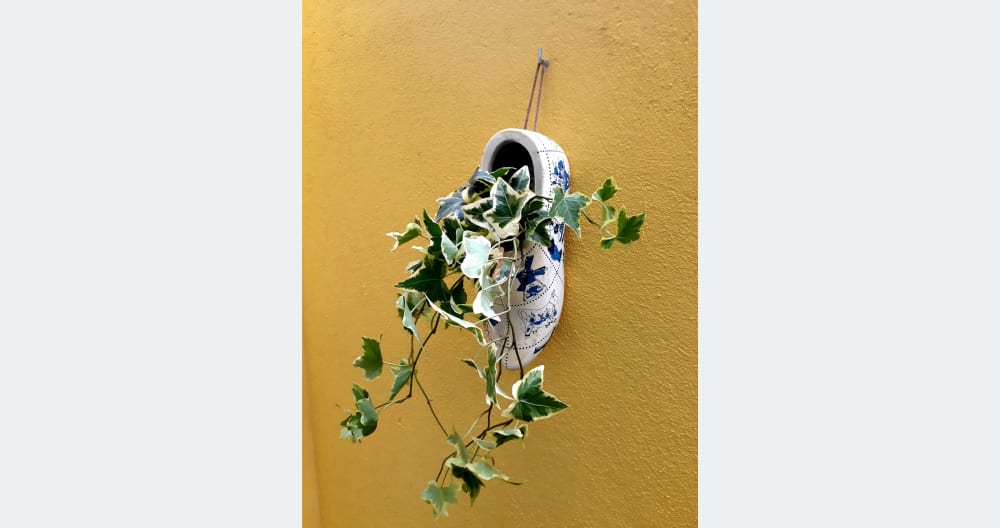 LGBTQI + freundliches Boutique-Hotel außerhalb der Stadt, in schwulem Besitz. - Foto 13