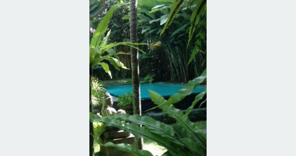 Paradise: Garden House in lush tropical walled garden with pool. - Foto 5