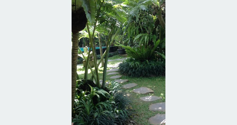 Paradise: Garden House in lush tropical walled garden with pool. - Foto 6
