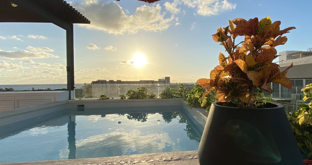 New Studio B, premium location, 5* details & Pool - Foto 1
