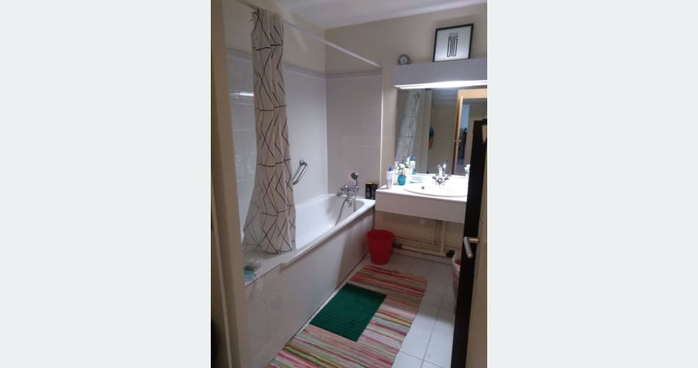Beautiful Flat - Picture 4