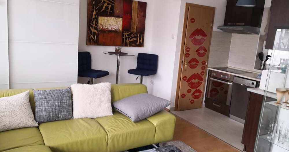 1,5 room apartment with terrace,near the park,near the Széchenyi Bath - Foto 1