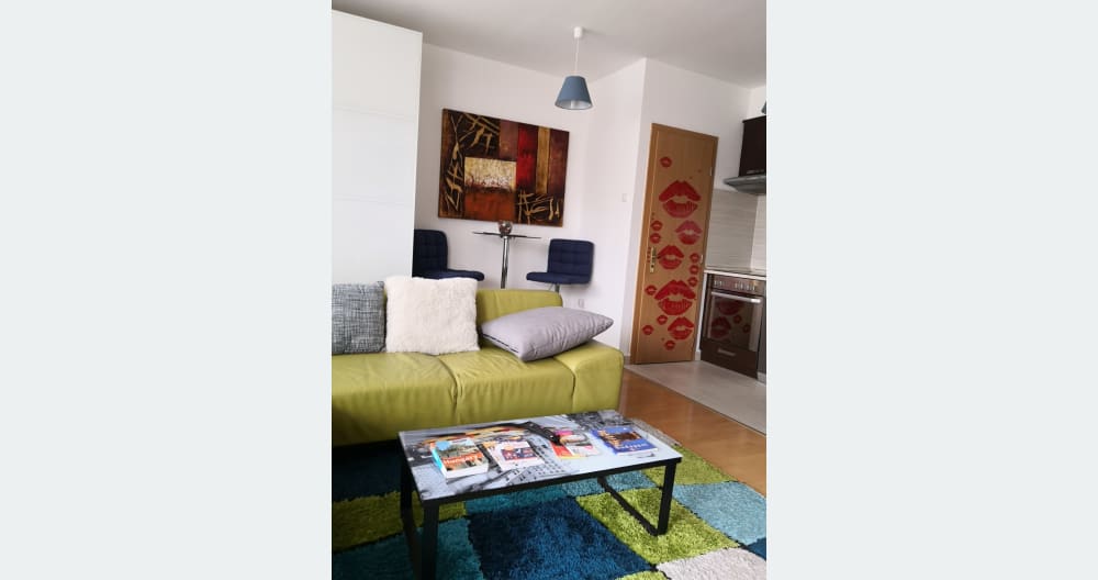 1,5 room apartment with terrace,near the park,near the Széchenyi Bath - Foto 5