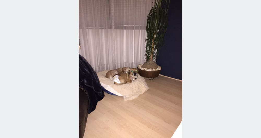Quarto em um apartamento de luxo seguro perto do Word Trade Center. - Foto 33