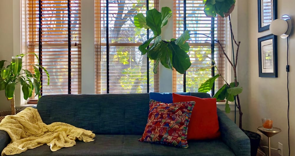 Sauberes und komfortables Andersonville Apartment - Foto 4