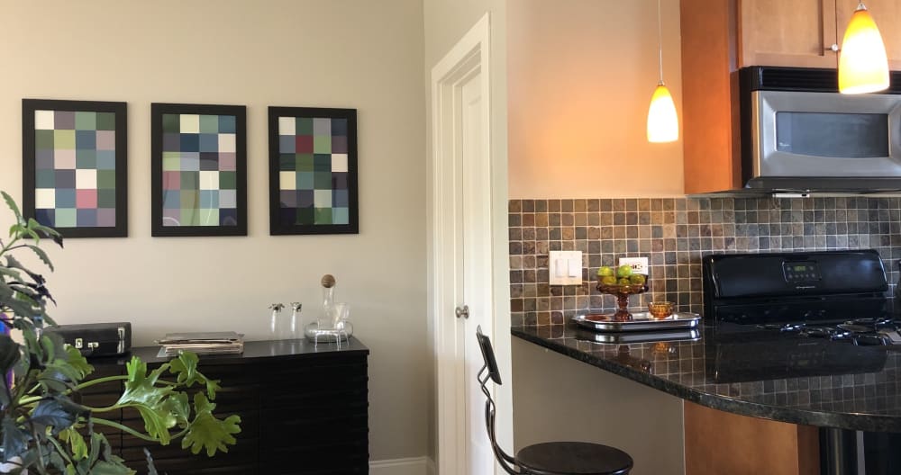 Sauberes und komfortables Andersonville Apartment - Foto 5
