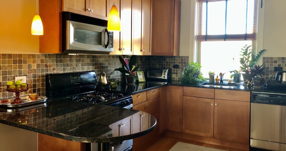 Sauberes und komfortables Andersonville Apartment - Foto 6