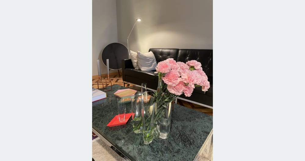Habitación en un hermoso y tranquilo apartamento con jardín en la moderna Zürich Seefeld - Foto 3