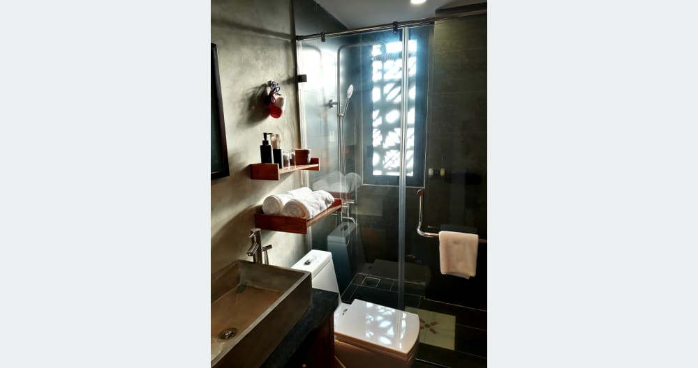 LGBTQI+ friendly boutique hotel just outside the city, Gay owned. - Picture 5