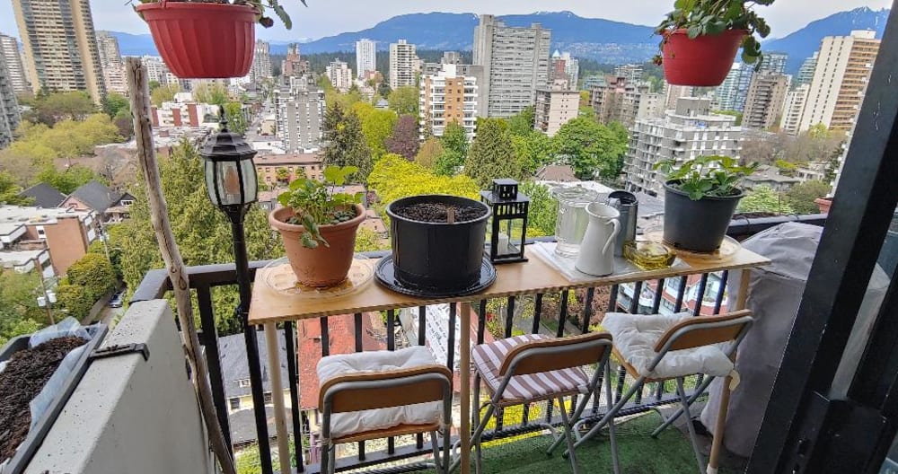 Main BR in a 2-BR apt. in high-rise in the heart of the Gay Village - Picture 7