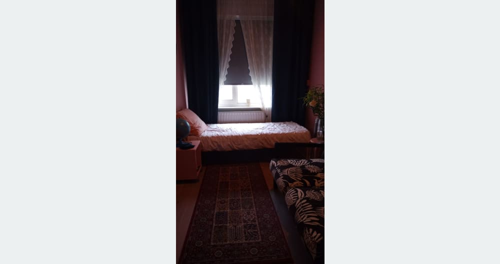 Amsterdam room - Picture 3