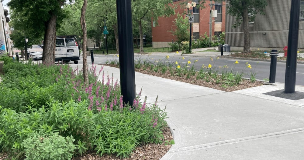 Chambre confortable à deux pas du Village gai Logement gay à louer à