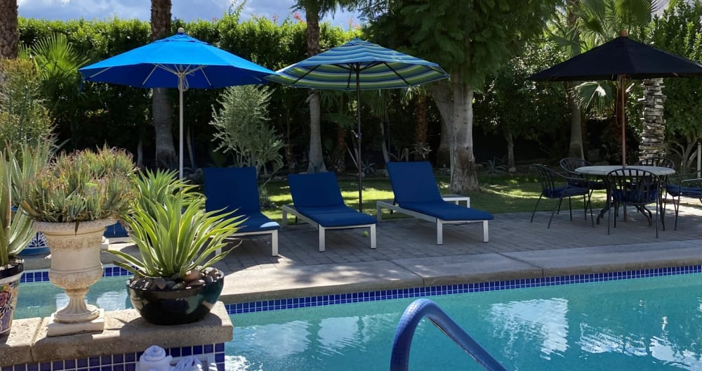 Poolside Movie Colony En-Suite-Private Entrance - Picture 16