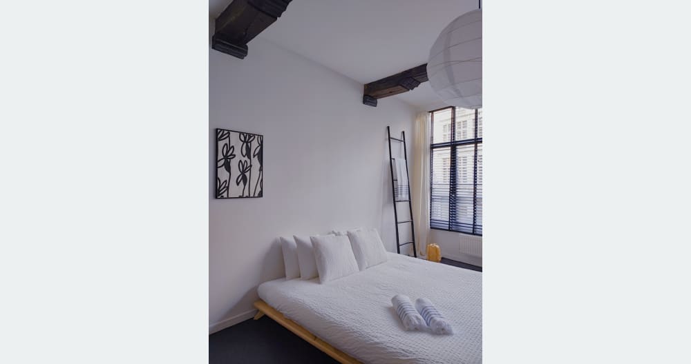 Slow living space in the old center of Antwerp - Picture 2
