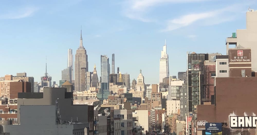 WFH weg von zu Hause mit TOMO, Ihrem Freund in NYC. - Foto 10