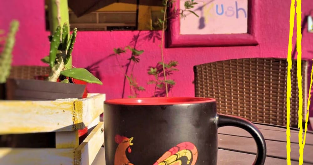 Gay hostel for fun people (Kush room) - Picture 3