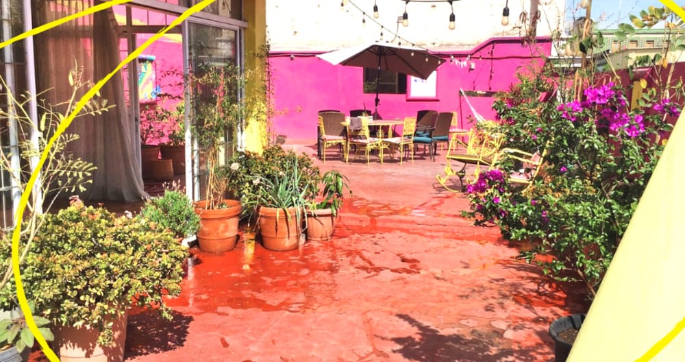 Gay hostel for fun people (Kush room) - Picture 5