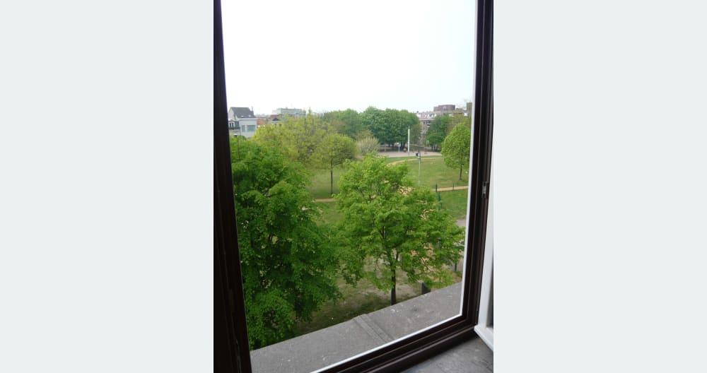 Christophe and Albert welcome you in their house in a small citypark - Picture 12
