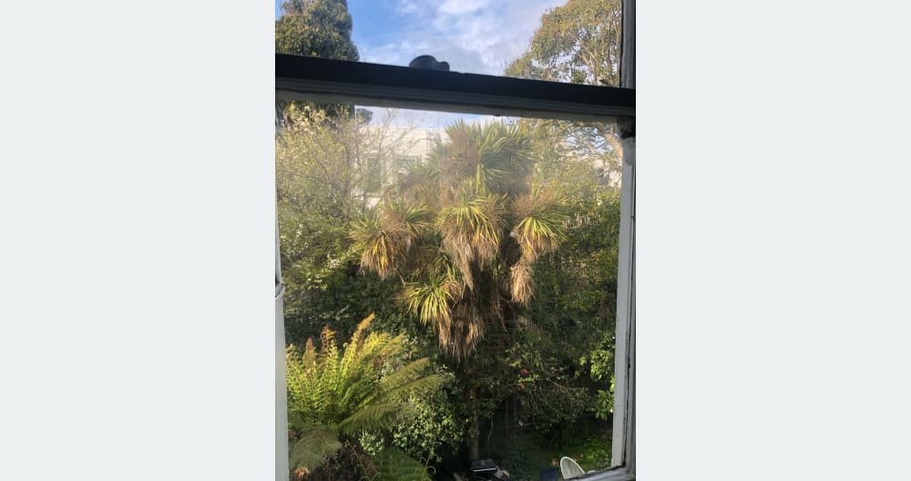 Bright, Comfortable, Charming - Great Wifi, Super Walkable - Foto 5