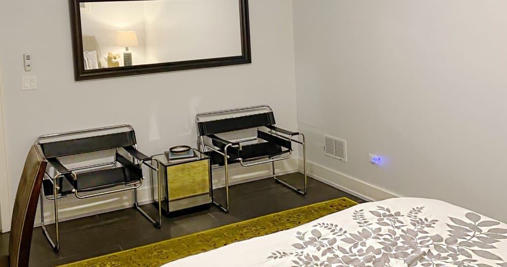 Clothing optional Chicago garden level in-law suite - Picture 4
