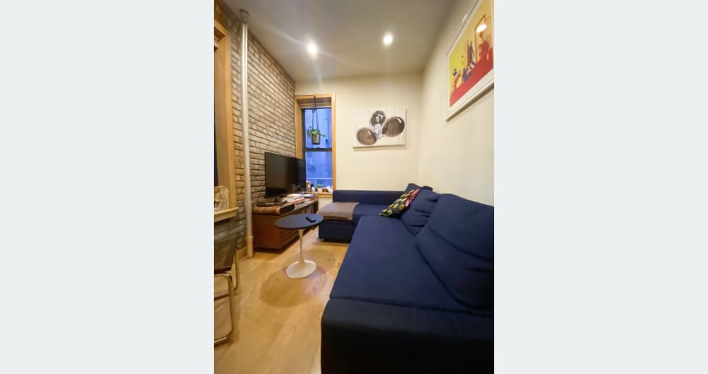 Comfortable and Functional 1 Bedroom in LES/Chinatown - Foto 1