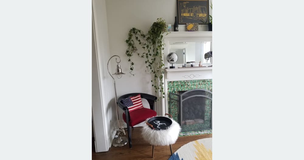 Chicago meets San Francisco- Charming Modern/ Vintage Condo - Picture 5