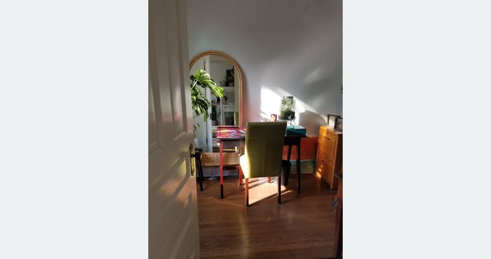 Chicago meets San Francisco- Charming Modern/ Vintage Condo - Picture 6