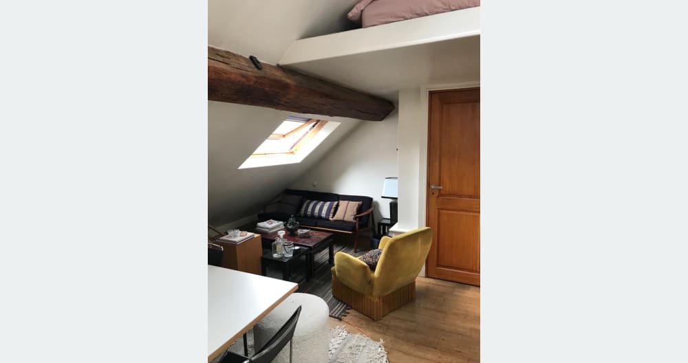 Comme à la campagne dans le Marais ! - Picture 3