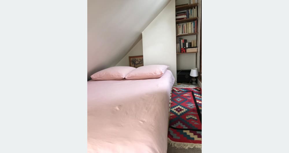 Comme à la campagne dans le Marais ! - Picture 7