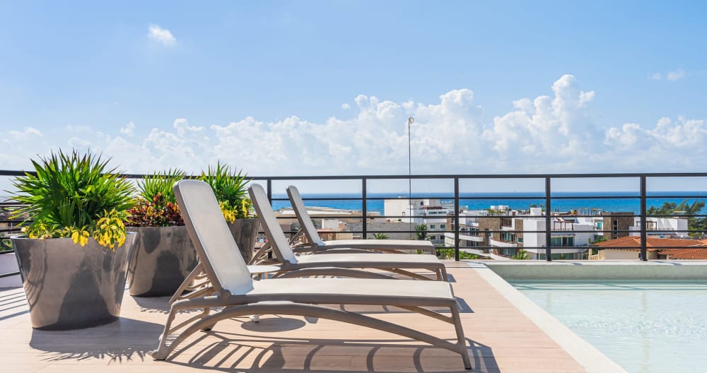 Beautiful Studio with kitchen AC Gym Pool Ocean View from the rooftop - Picture 6