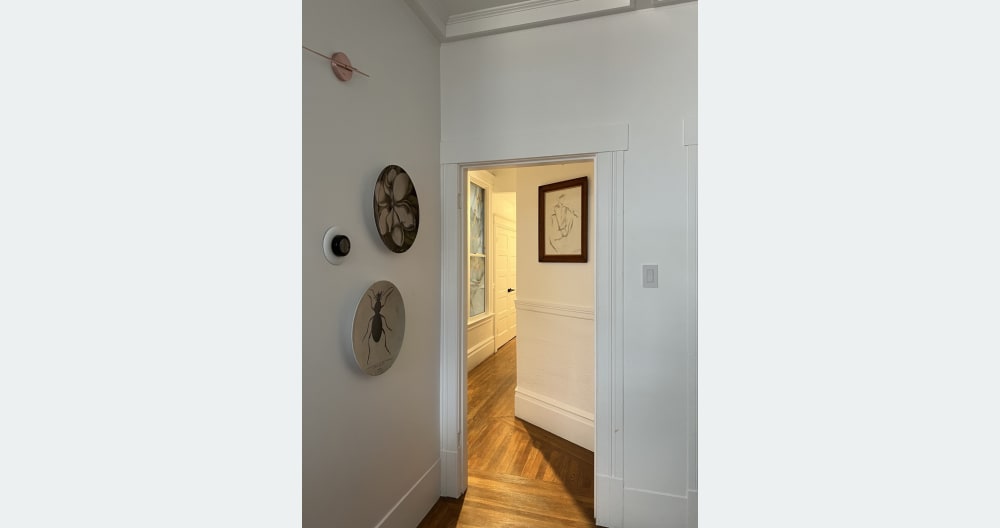 Beautiful, warm 2 bd, 1.5 ba in the heart of SF: Walk to everything - Picture 4