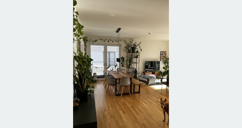 Cozy single room // with own balcony & bathroom // center of Berlin - Foto 5