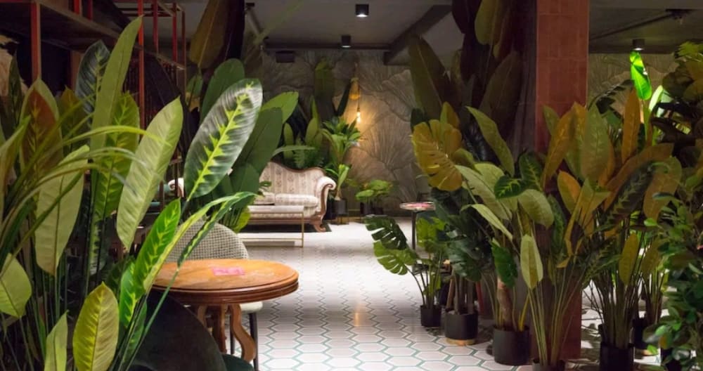 Lovely, Fancy and Cosi
Welcome to Secrt Sabana - Foto 15