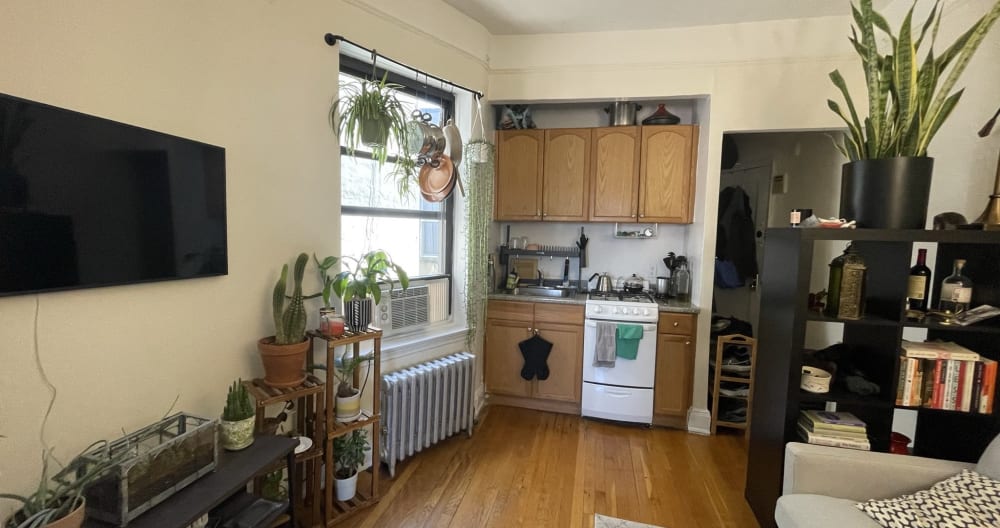 Bright 1BD apartment in East Village - Picture 5