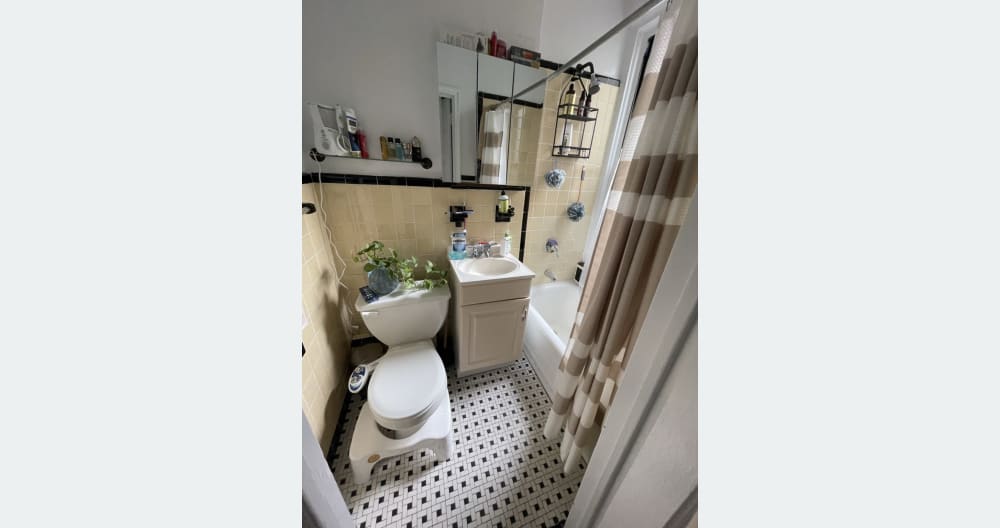 Bright 1BD apartment in East Village - Picture 4