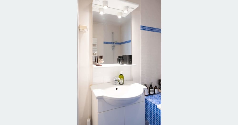 Charming Parisian flat in the heart of the city - Picture 4