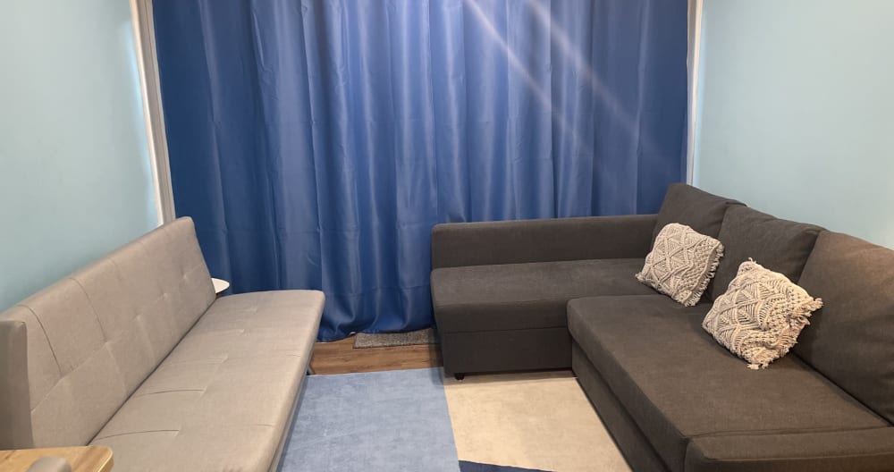 Sofa bed in the living room / the room is shared between two guests - Picture 3