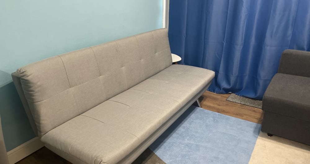 Sofa bed in the living room / the room is shared between two guests - Picture 4