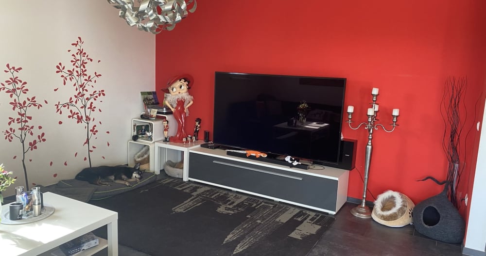 Chambre pour deux dans jolie maison avec animaux - Photo 3