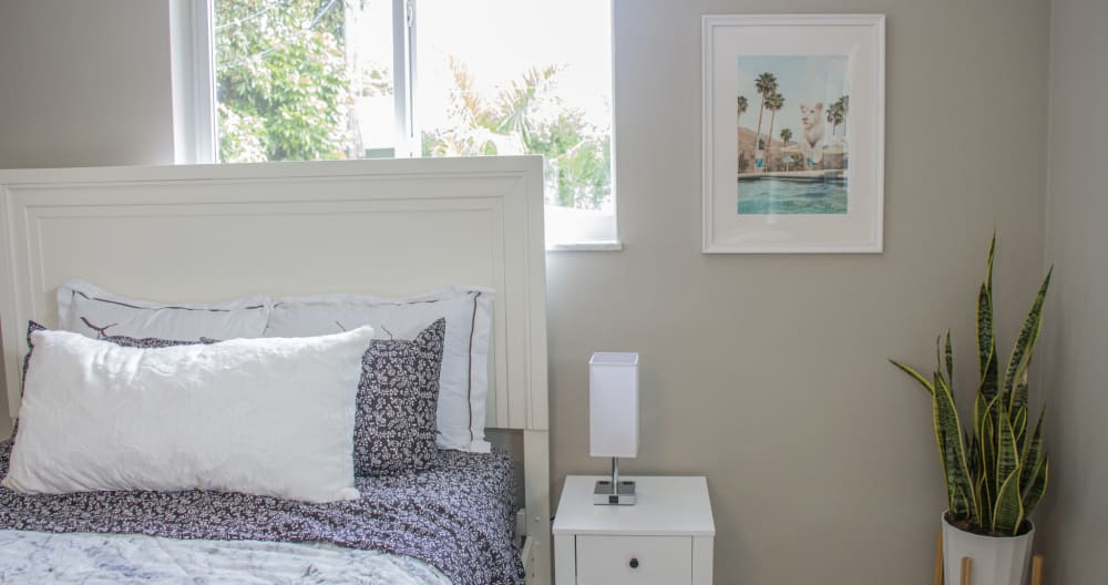 Cozy studio under the palm trees - Photo 9