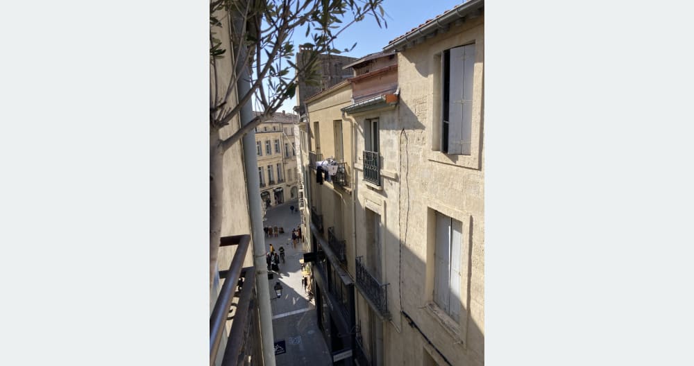 Montpellier Stadtzentrum, der weiße Baum - Foto 6