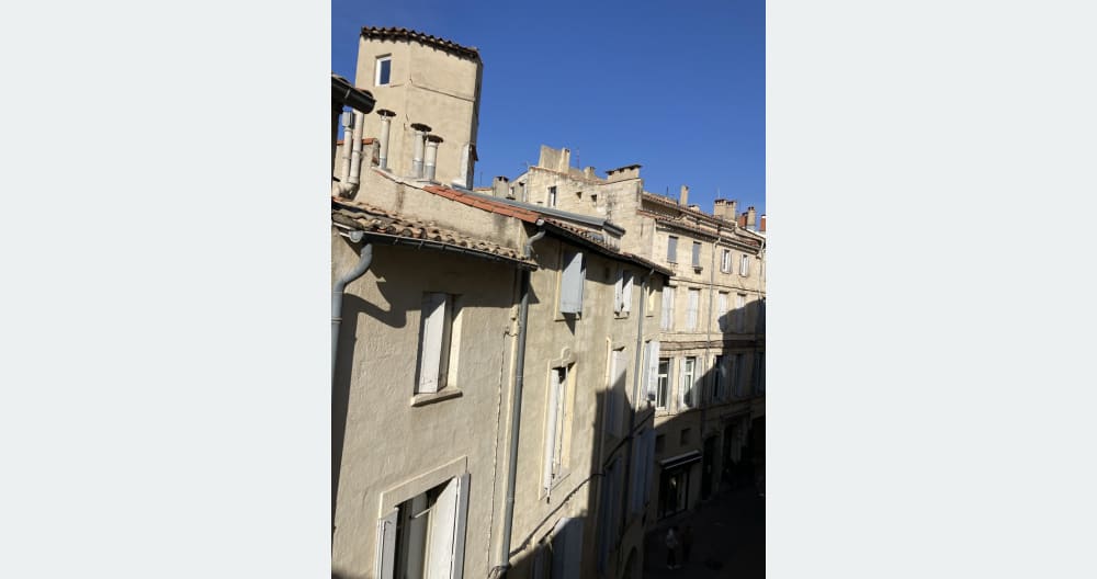 Montpellier Stadtzentrum, der weiße Baum - Foto 7