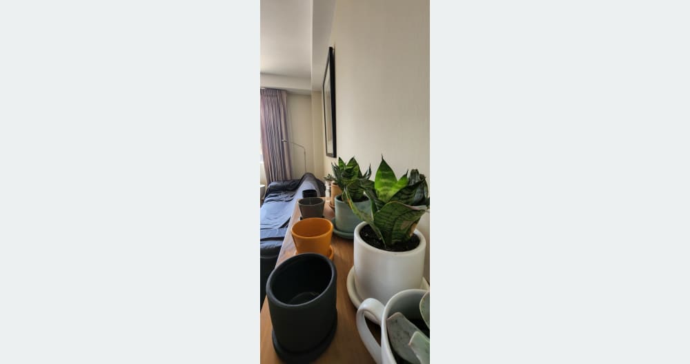 Haus der Oger - Foto 6
