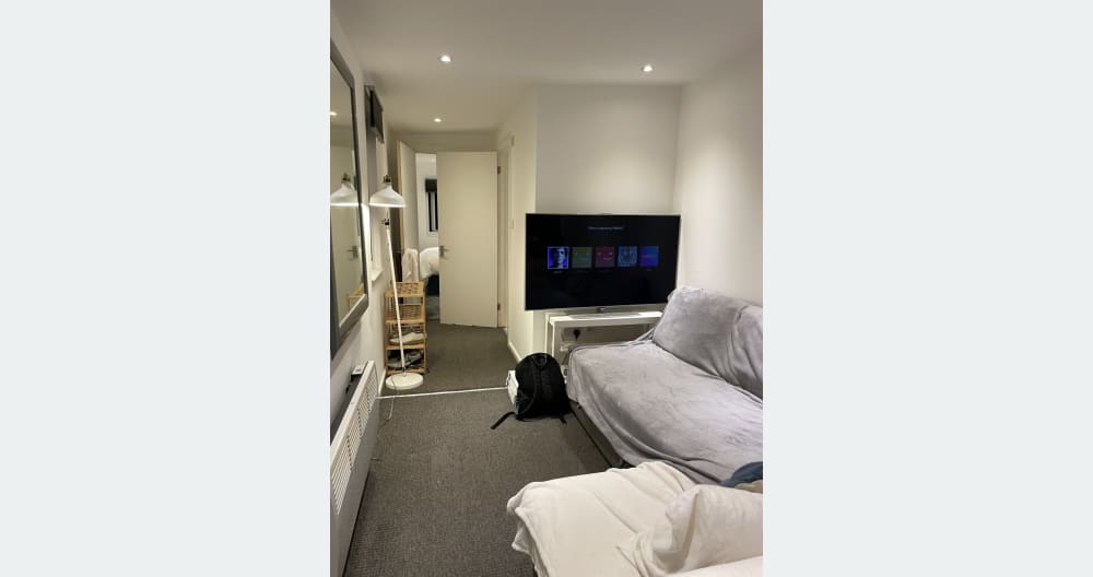 Cozy one bedroom apartment - Picture 3